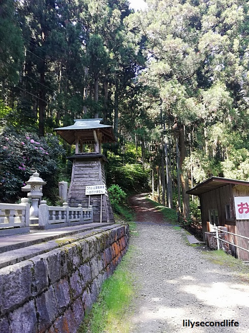 横峰寺より星が森への道