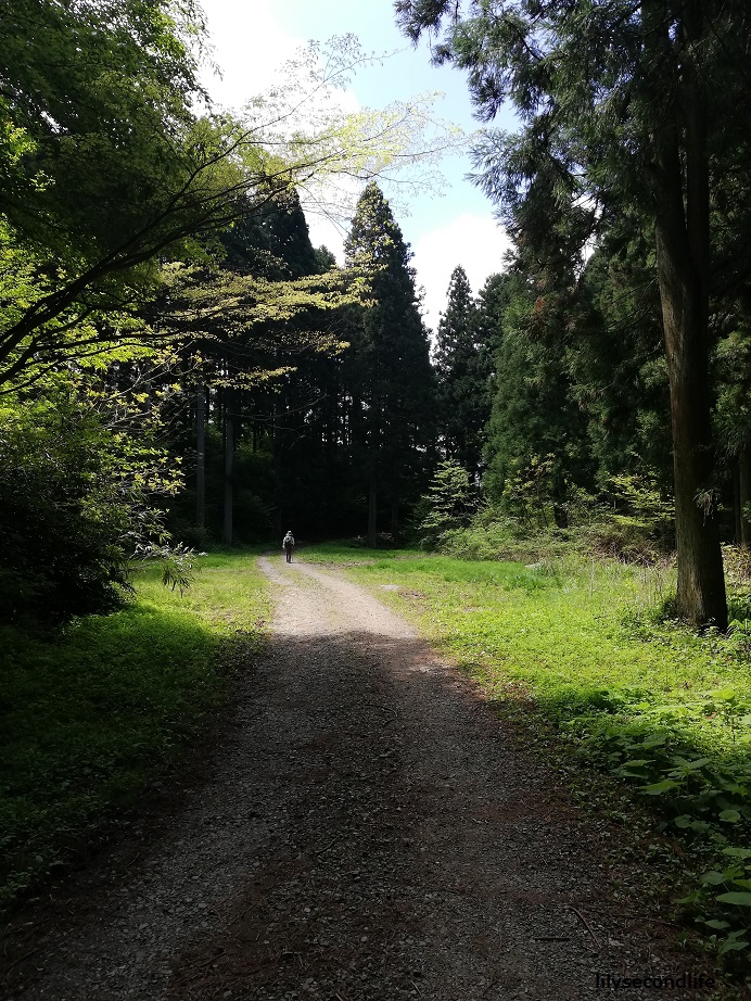 横峰寺より星が森への山道