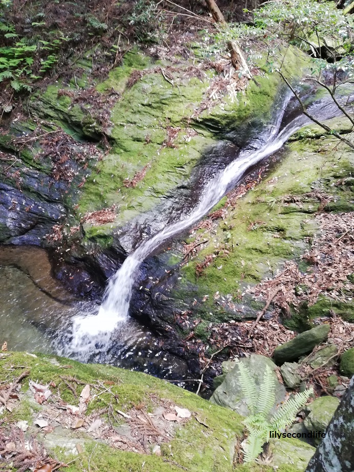 横峰寺より下山道中の小川